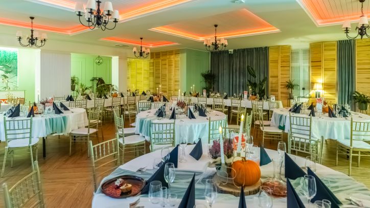 Kormoran przed Biesiadą Kormorana, listopad 2024 r.