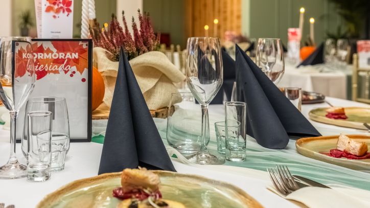 Kormoran przed Biesiadą Kormorana, listopad 2024 r.