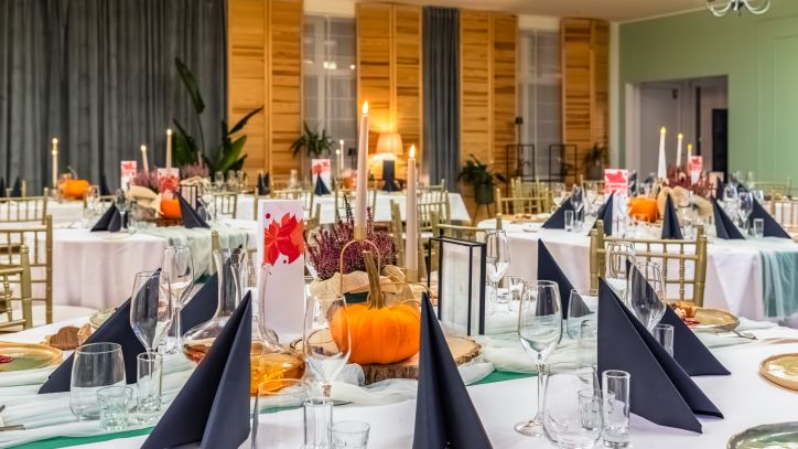 Kormoran przed Biesiadą Kormorana, listopad 2024 r.