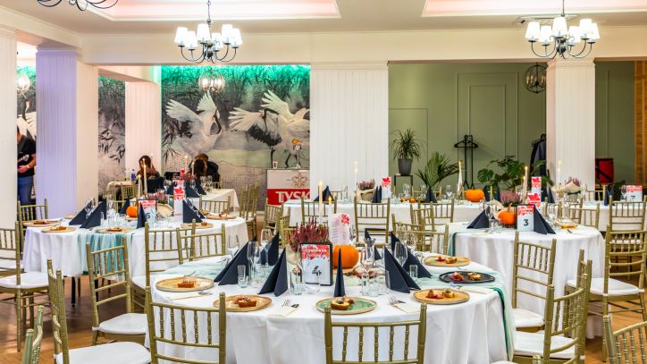 Kormoran przed Biesiadą Kormorana, listopad 2024 r.