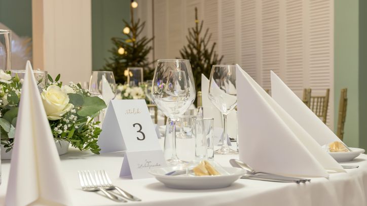 Kormoran przed przyjęciem Weselnym, grudzień 2025 r.